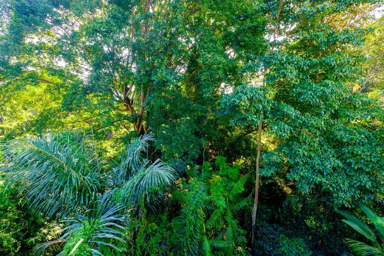 Bali Ubud Harmony Exteriör bild